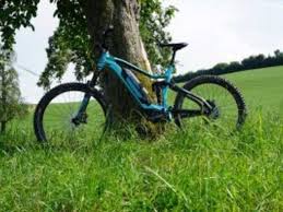 Flyer E Mountainbikes Gebaut Fur Die Alpen E Bike Antrieb Autos Pedelec