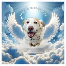 Eva Mestas's Instagram, Twitter & Facebook