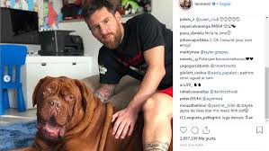Lionel messi plays football with his pet dog hulklionel messi even makes his pet dog hulk look silly when he's got a ball at his feetno one is safe from the. Laliga Santander Barcelona Messi Spends Time Relaxing With His Children And Hulk Marca In English