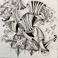 Zentangle Method of Drawing — Verdes Art League event image