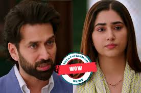 Bade Achhe Lagte Hain 2: Wow! Ram and Priya's perfect night under the stars  as they