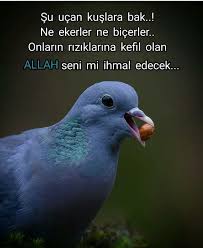Hedef 2023 Adli Kullanicinin Guzel Sozler Panosundaki Pin Anlamli Alintilar Guzel Soz Ozlu Sozler