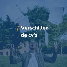 Cv S Voor Verschillende Banen Sollicitatieblog