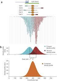 Genome Wide Analysis Of Transcription Factor Binding Sites Based On Chip Seq Data Nature Methods