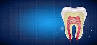 Background Dental Dentistry Medical Tooth Dentistry Background Image Dentistry Dental Background Images