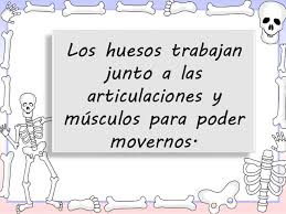 Resultado de imagen de ARTICULACIONES PARA NIÃÂOS IMAGENES