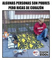 Mira, vota y comparte los mejores memes y gifs de millonarios en español. Millonarios De Amor Amor De Perro Perros Frases Amantes De Perros