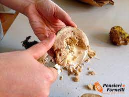Consigli, trucchi, guide con procedimento e video per pulire i funghi. Come Pulire I Funghi Porcini Di Pensieri E Fornelli