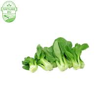 Daun ketumbar yang lebih tua dan lebih besar juga cenderung memiliki rasa yang lebih pahit, membuatnya kurang diminati jika dibiarkan tumbuh terlalu lama. Parsley Chinese Daun Ketumbar Nature2u