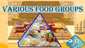 food pyramid the 5 different food groups learn the healthy unhealthy foods video for kids