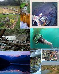 Trucos y consejos para tu partiendo del dato de que alrededor del 60% de nuestro organismo está formado de agua, es. Dia Mundial Del Agua Wikipedia La Enciclopedia Libre