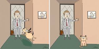 Cats Vs Dogs 6 Differences Illustrated By Bird Born Cat Vs Dog Dog Comics Dog Toilet