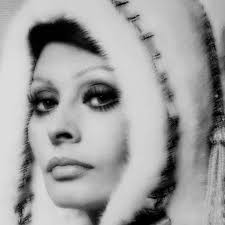 Proud Galleries presents David Stetson's photography