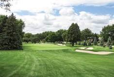 Image result for why cutting trees at grand haven golf course
