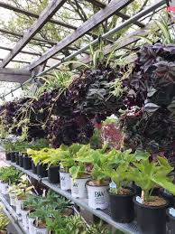 Check spelling or type a new query. Scott S Garden Center Home Facebook