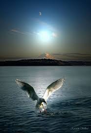 Stunning View Beautiful Pictures Natureza Bela