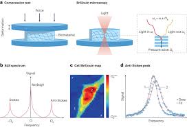 Image result for Light Spectrum Blue 1991 Shadow