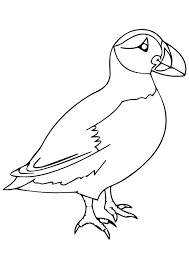 Top 10 Puffin Coloring Pages For Toddlers Coloring Pages Bird Coloring Pages Animal Coloring Pages