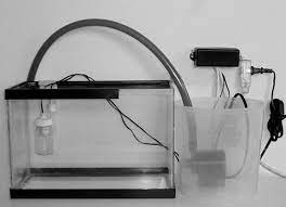 Check spelling or type a new query. How To Build Your Own Aquarium Auto Top Off System