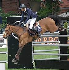 Profile page of athlete nayel nassar disciplines: Nayel Nassar Wikipedia