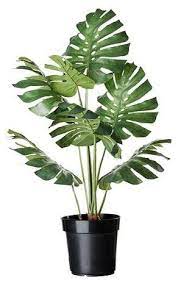 Potted Plants Dinding Tanaman Pot Bunga Tanaman