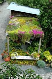 Saul Nursery The Swamp Greenroof Rooftop Garden Garden Design Vertical Garden