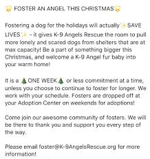 Pet angels rescue rescues animals primarily from rural kill shelters, abandonment, hoarding cases, puppy mills, overcrowded shelters, and from cases of abuse and neglect. K 9 Angels Rescue K9angelsrescue Twitter