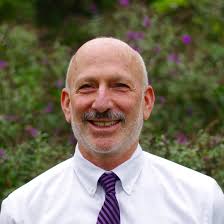 Ron Strom — Blue Heron Asset Management