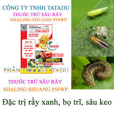 Shaling Shuang 950WP