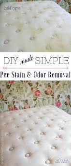 How To Remove Pee Stains And Smell From Mattress Food Fun Kids Recipe Pee Stains Remove Stains From Mattress Mattress