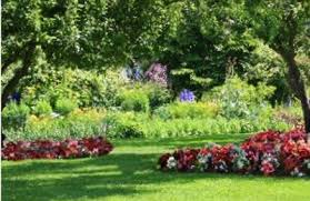 For homeowners interested in anything from a simple lawn mowing service to a brand new fence installation, environmentally friendly desertscape update. Castillo Tree Lawn Service Inc 900 Coburn Rd Sarasota Fl 34240 Yp Com