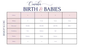 Image result for Bishop Score