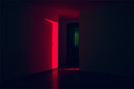 Red Room Red Rooms Neon Noir Red Pictures