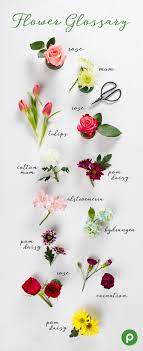 Start date today at 5:00 pm. Try Online Easy Ordering Flower Aesthetic Trendy Flowers Flower Boutique