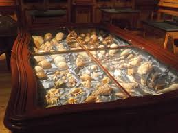 Musee D Histoire Naturelle La Rochelle La Rochelle Pinball Machine Gaming Products
