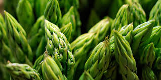 5 asparagus crown,jersey knight 2 year roots,large,green spears tipped,vegetable. Growing Asparagus Garden Dad