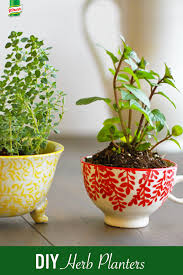 When It S Too Cold For The Farmers Market Bring Your Herb Garden Inside You Shouldn T Have To Wait Until Spring For Herbs Garden Inside Herb Planters Herbs