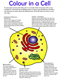 Maybe you would like to learn more about one of these? Colour In A Cell Biofluff