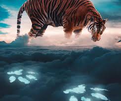 Gallery of Illustration by Ted Chin