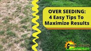 Overseeding is the process of planting grass seeds over your existing grass to create a thicker, healthier lawn. How To Prepare My Lawn For Overseeding