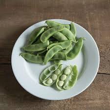 Image result for Phaseolus lunatus