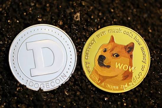 future dogs coin payments shortengine