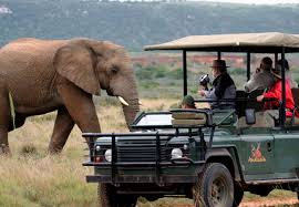 Amakhala Game Reserve