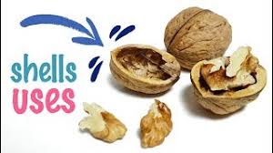 Useful #diy projects and ways to use walnut shells. 8 Walnut Shells Uses And Applications How To Use Walnut Shells Youtube
