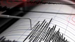 Pe acest site este specificat faptul că algoritmii matematici complecşi folosiţi pentru prezicerea cutremurelor au câştigat şapte premii internaţionale din 2011 până acum şi sunt unici în lume. Cutremur In Vrancea Ce Magnitudine A Avut Seismul