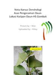 Rakaman video ini dibuat pada 7hb. Asas Pengenalan Daun