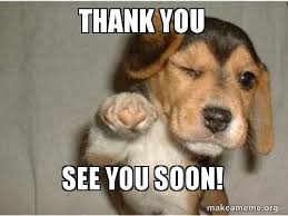 30 Thank You Memes You Need To Send To Your Friends Asap Sayingimages Com Husky Funny Happy Birthday Funny Humorous Funny Dogs