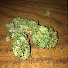 Mexican Sativa Marijuana Strain Information Leafly
