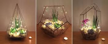 Terrariums Uk Fully Assembled Ideal Gifts The Urban Botanist Succulent Terrarium Terrarium Lights
