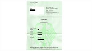 Das Erweiterte Fuhrungszeugnis Beantragen Recht Finanzen